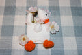 Crochet Duck 3 Generation Airpod Case